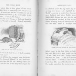 The Jungle Book.  New York:  The Century Co., 1894.