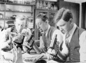 Students in lab studying bones, c1916.