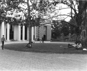 The front of E.H. Little library seen through two trees and a grass circle plaza with students studying below the trees