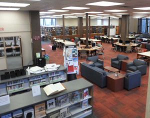 Little Library main floor in 2017