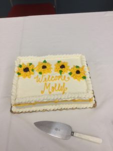 White sheet cake that reads "Welcome Molly"