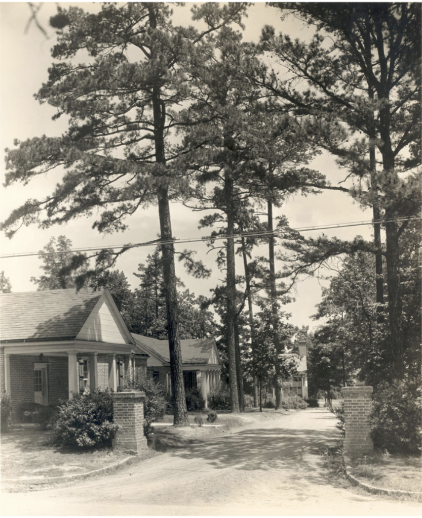 Image of the entrance to Jackson Court. The image is in black and white. There are two houses to the left of a dirt road, which goes down the center of the image. Large fir trees line the road, and there are two brick posts at the entrance to the road. 